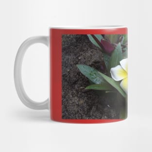 White and Yellow Frangipani Mug